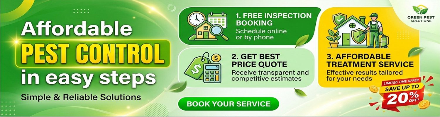 Affordable Pest Control in Delhi - Delhi Wala Pest Control